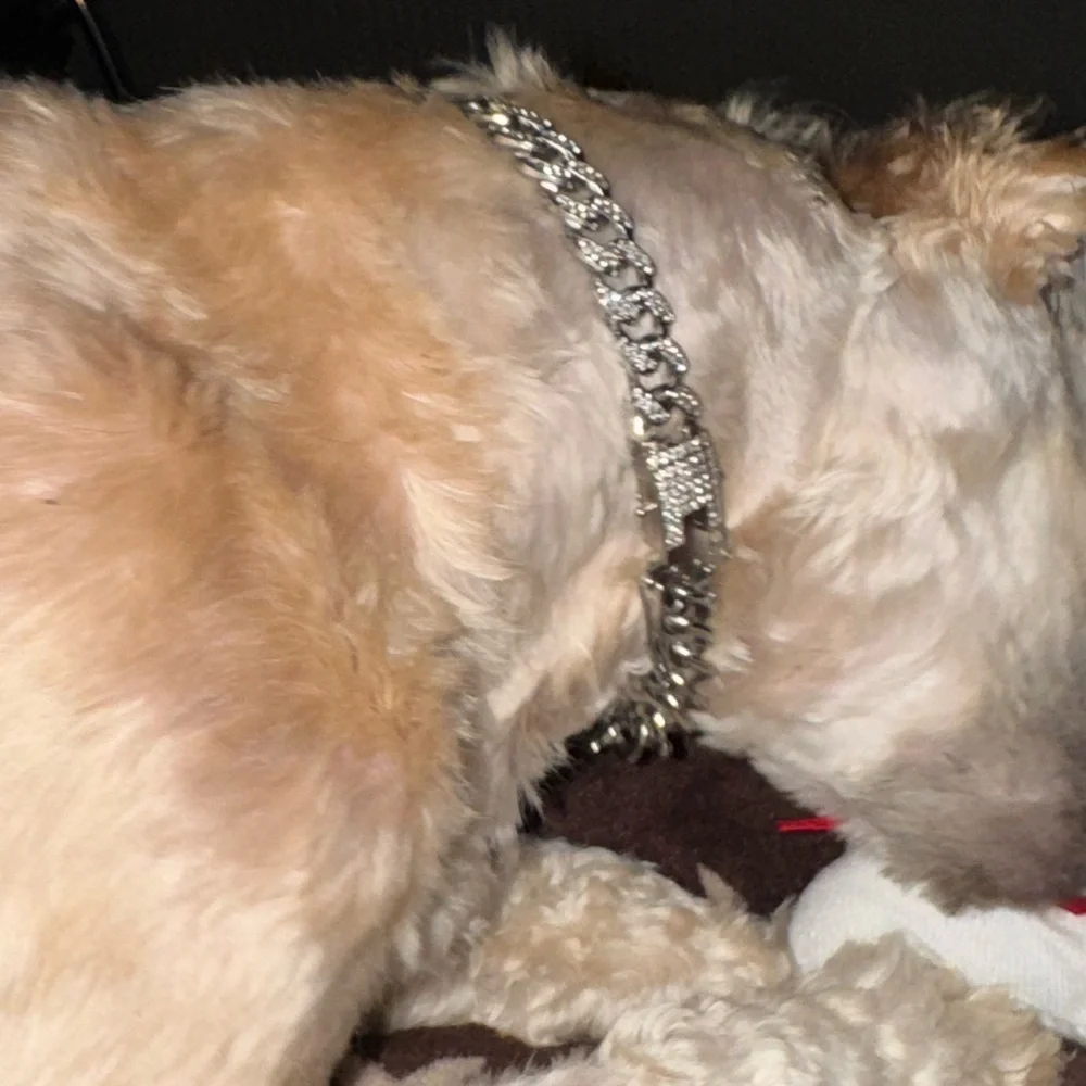 - CUBAN LINK ICED OUT SILVERTONE & ROSE GOLD DOG COLLARS XS 11”